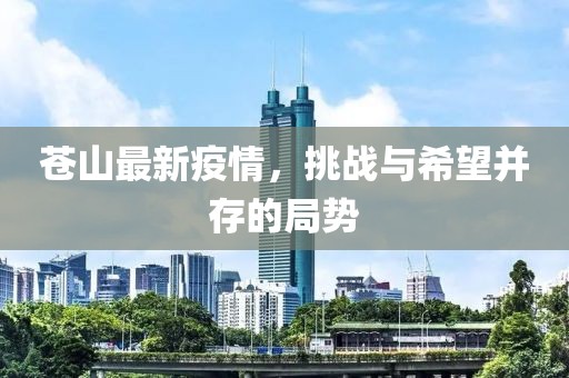 苍山最新疫情，挑战与希望并存的局势