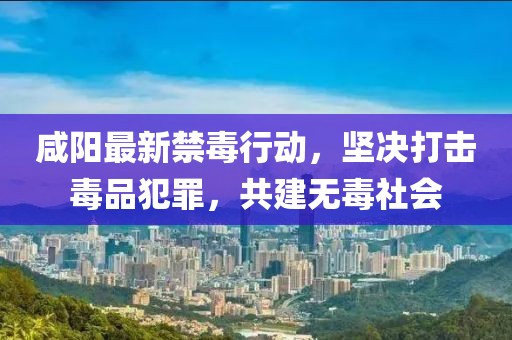 咸阳最新禁毒行动，坚决打击毒品犯罪，共建无毒社会