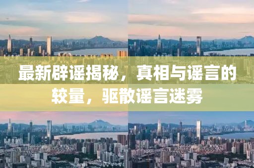 最新辟谣揭秘，真相与谣言的较量，驱散谣言迷雾