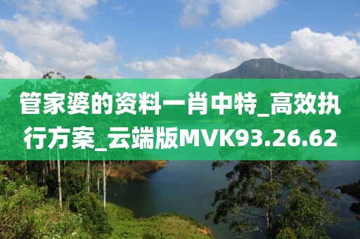 管家婆的资料一肖中特_高效执行方案_云端版MVK93.26.62