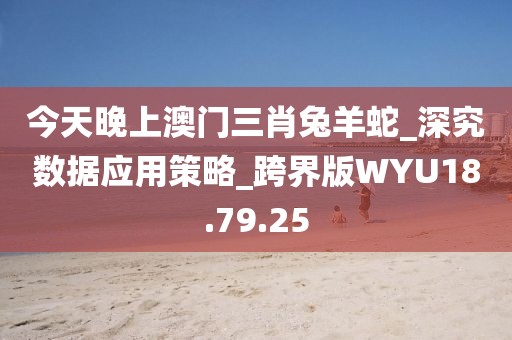 今天晚上澳门三肖兔羊蛇_深究数据应用策略_跨界版WYU18.79.25