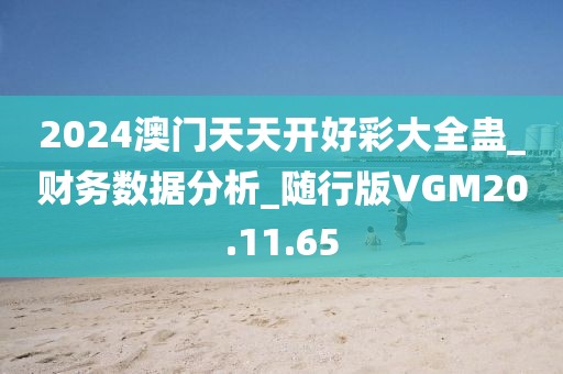 2024澳门天天开好彩大全蛊_财务数据分析_随行版VGM20.11.65