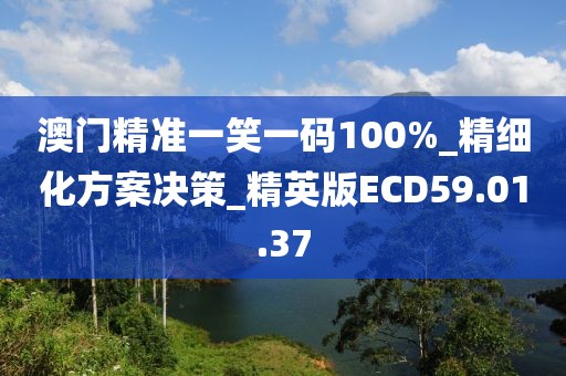 澳门精准一笑一码100%_精细化方案决策_精英版ECD59.01.37