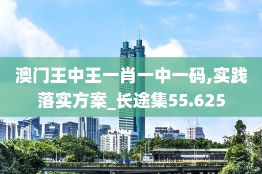澳门王中王一肖一中一码,实践落实方案_长途集55.625