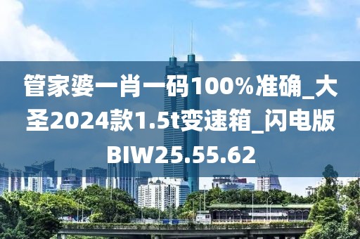管家婆一肖一码100%准确_大圣2024款1.5t变速箱_闪电版BIW25.55.62