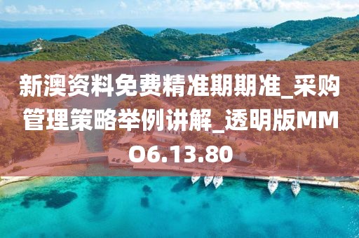 新澳资料免费精准期期准_采购管理策略举例讲解_透明版MMO6.13.80
