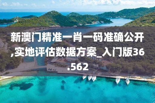 新澳门精准一肖一码准确公开,实地评估数据方案_入门版36.562