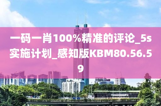 一码一肖100%精准的评论_5s实施计划_感知版KBM80.56.59