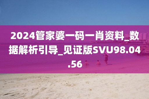 2024管家婆一码一肖资料_数据解析引导_见证版SVU98.04.56