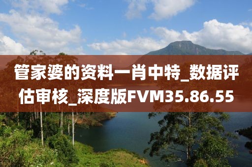 管家婆的资料一肖中特_数据评估审核_深度版FVM35.86.55