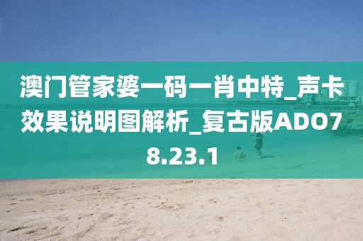 澳门管家婆一码一肖中特_声卡效果说明图解析_复古版ADO78.23.1