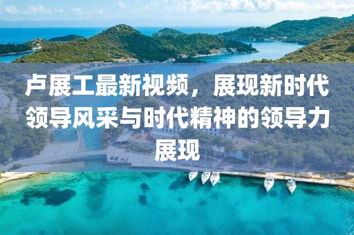 卢展工最新视频，展现新时代领导风采与时代精神的领导力展现