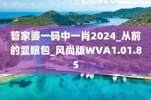 管家婆一码中一肖2024_从前的显眼包_风尚版WVA1.01.85