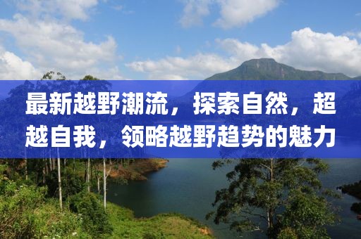 风萧龙 第44页