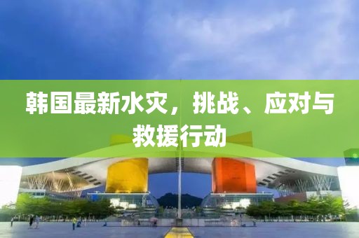 韩国最新水灾，挑战、应对与救援行动