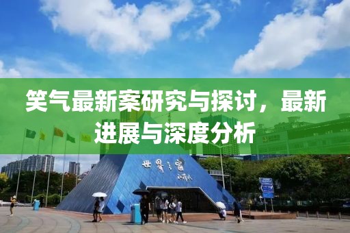 笑气最新案研究与探讨，最新进展与深度分析