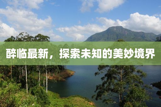 醉临最新，探索未知的美妙境界