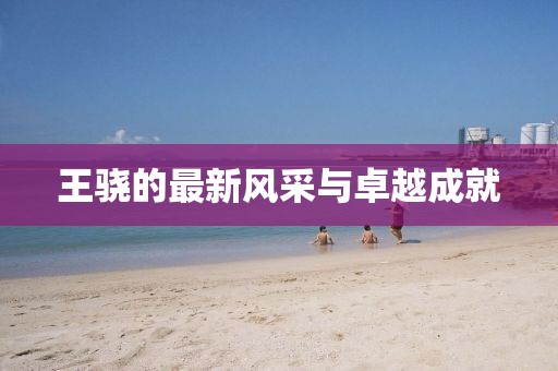 王骁的最新风采与卓越成就
