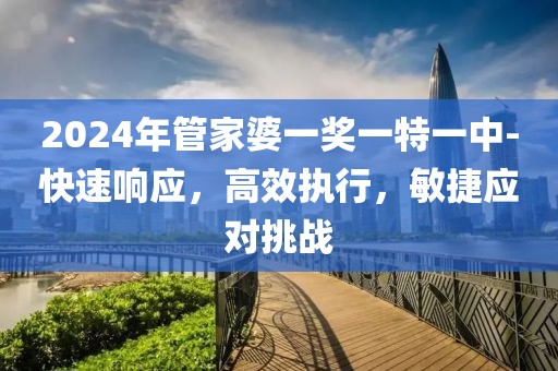 2024年管家婆一奖一特一中-快速响应，高效执行，敏捷应对挑战