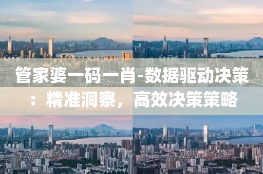 管家婆一码一肖-数据驱动决策：精准洞察，高效决策策略