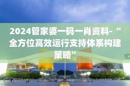2024管家婆一码一肖资料-“全方位高效运行支持体系构建策略”