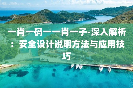 一肖一码一一肖一子-深入解析：安全设计说明方法与应用技巧
