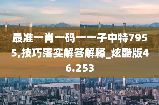最准一肖一码一一子中特7955,技巧落实解答解释_炫酷版46.253