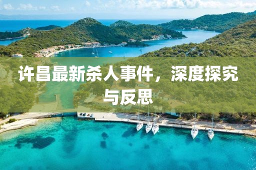许昌最新杀人事件，深度探究与反思