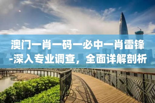 澳门一肖一码一必中一肖雷锋-深入专业调查，全面详解剖析