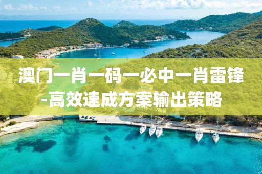 澳门一肖一码一必中一肖雷锋-高效速成方案输出策略