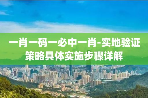 一肖一码一必中一肖-实地验证策略具体实施步骤详解