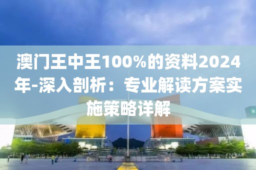 澳门王中王100%的资料2024年-深入剖析：专业解读方案实施策略详解