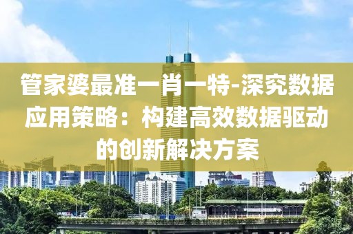 管家婆最准一肖一特-深究数据应用策略：构建高效数据驱动的创新解决方案