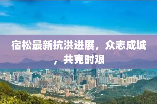 宿松最新抗洪进展，众志成城，共克时艰
