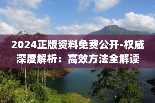 2024正版资料免费公开-权威深度解析：高效方法全解读