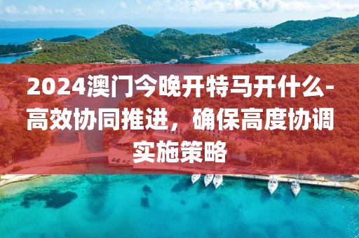 2024澳门今晚开特马开什么-高效协同推进，确保高度协调实施策略
