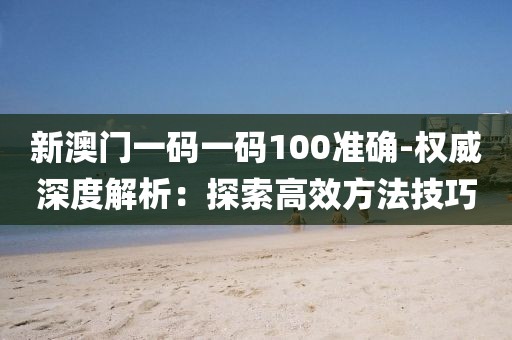 新澳门一码一码100准确-权威深度解析：探索高效方法技巧