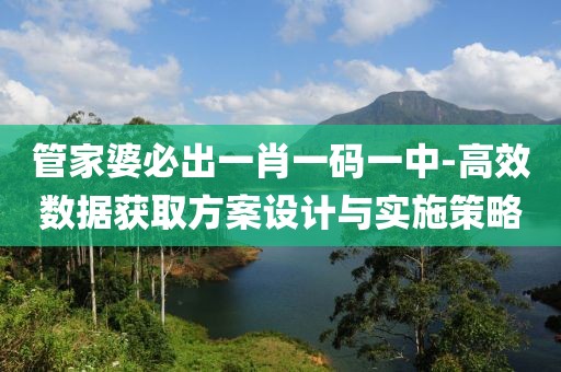 管家婆必出一肖一码一中-高效数据获取方案设计与实施策略