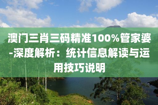 澳门三肖三码精准100%管家婆-深度解析：统计信息解读与运用技巧说明