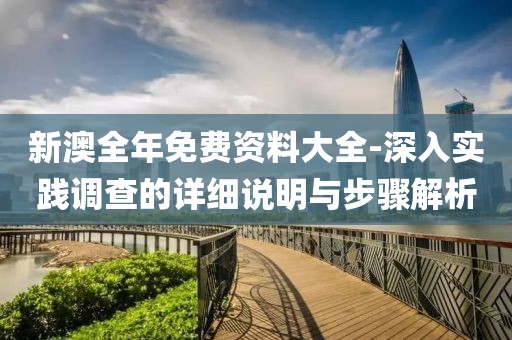 新澳全年免费资料大全-深入实践调查的详细说明与步骤解析
