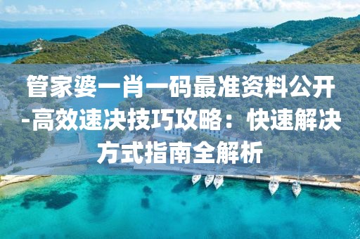 管家婆一肖一码最准资料公开-高效速决技巧攻略：快速解决方式指南全解析