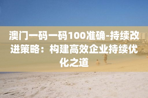 澳门一码一码100准确-持续改进策略：构建高效企业持续优化之道