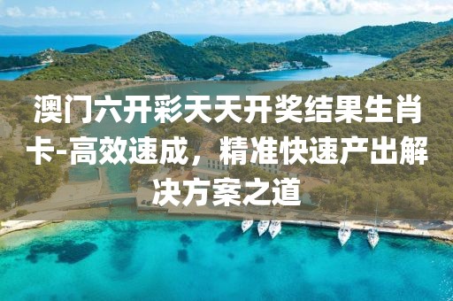 澳门六开彩天天开奖结果生肖卡-高效速成，精准快速产出解决方案之道