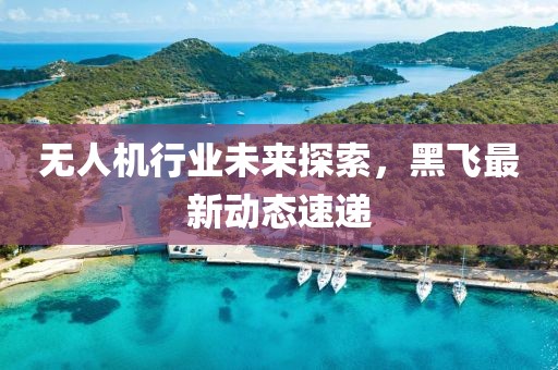 无人机行业未来探索，黑飞最新动态速递