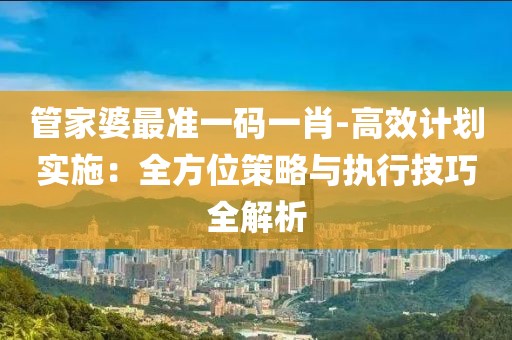 管家婆最准一码一肖-高效计划实施：全方位策略与执行技巧全解析