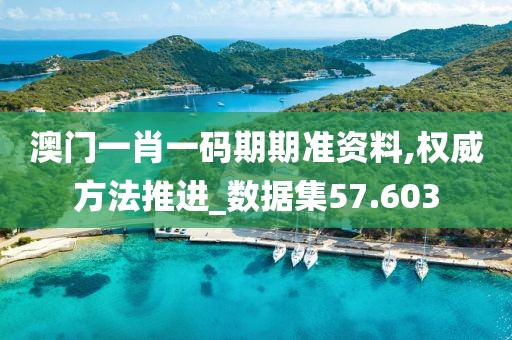 澳门一肖一码期期准资料,权威方法推进_数据集57.603