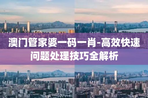 澳门管家婆一码一肖-高效快速问题处理技巧全解析