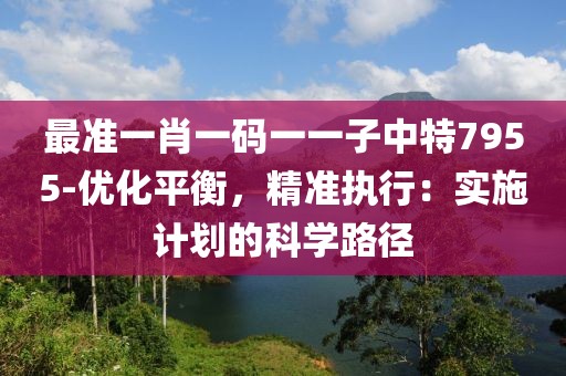 最准一肖一码一一子中特7955-优化平衡，精准执行：实施计划的科学路径