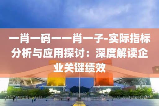 一肖一码一一肖一子-实际指标分析与应用探讨：深度解读企业关键绩效