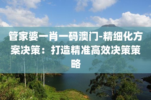管家婆一肖一码澳门-精细化方案决策：打造精准高效决策策略